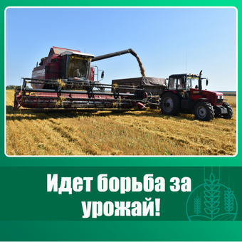 Более 30% площадей убрали аграрии Троицкого района.